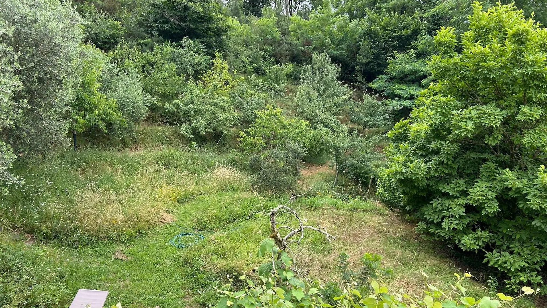 Bed and Breakfast Casa Octavia San Martino in Freddana Italia